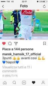 hamsik2