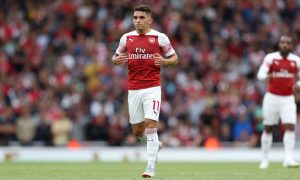 torreira