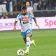 insigne