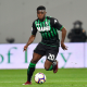 boga sassuolo