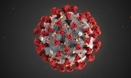 Coronavirus Italia svizzera