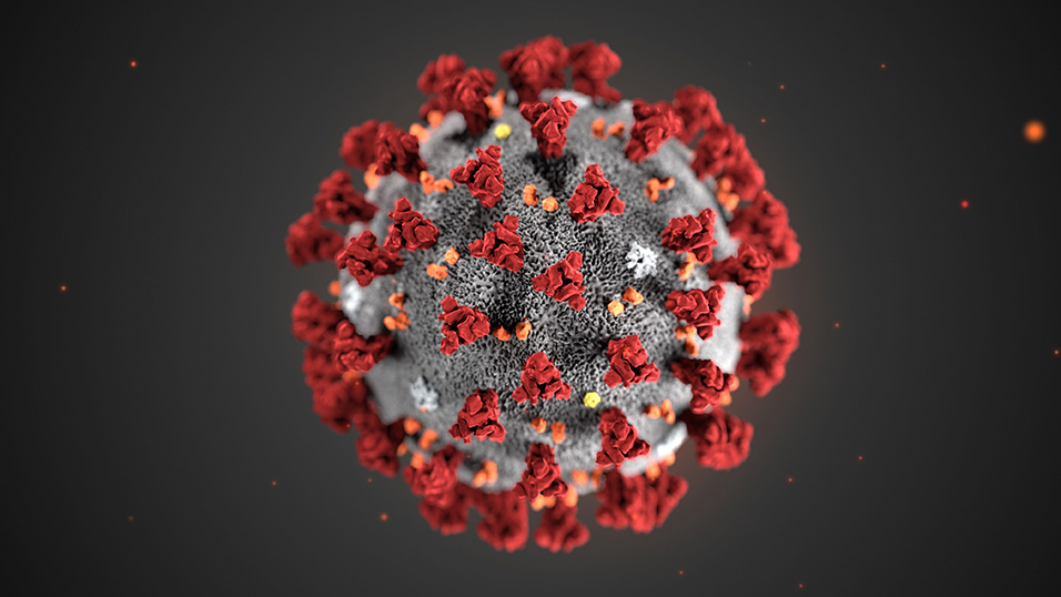 Coronavirus Italia svizzera