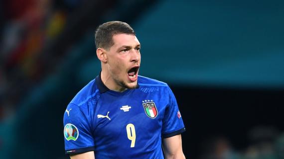 belotti