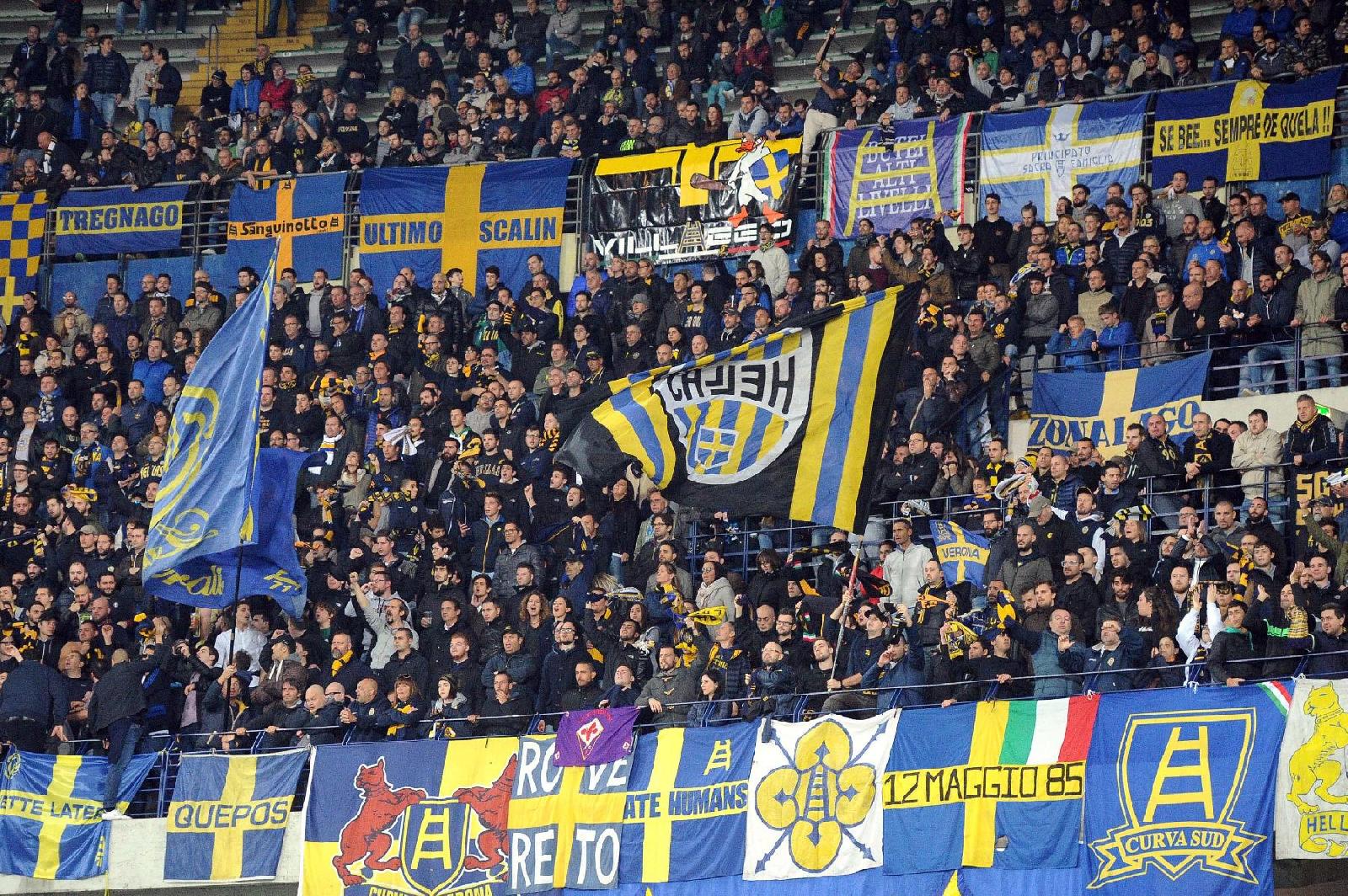 hellas verona tifosi